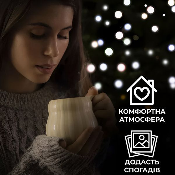 Гірлянда нитка 6м на 100 LED лампочок світлодіодна чорний провід 8 режимів роботи Білий 1960039982 фото