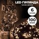 Гірлянда нитка 6м на 100 LED лампочок світлодіодна чорний провід 8 режимів роботи Жовтий 1960039983 фото 2